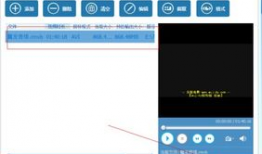 视频的格式,揭秘[视频格式]的精彩世界